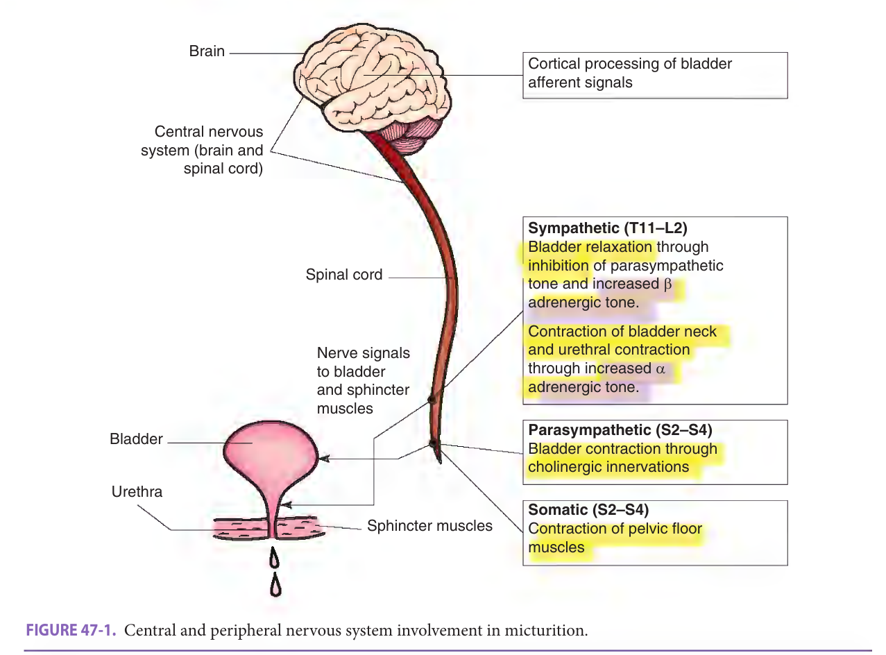 Figure 47-1